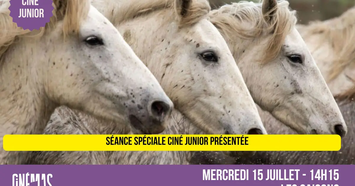 Ciné Junior - Les Saisons - dès 6ans