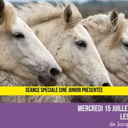 Ciné Junior - Les Saisons - dès 6ans