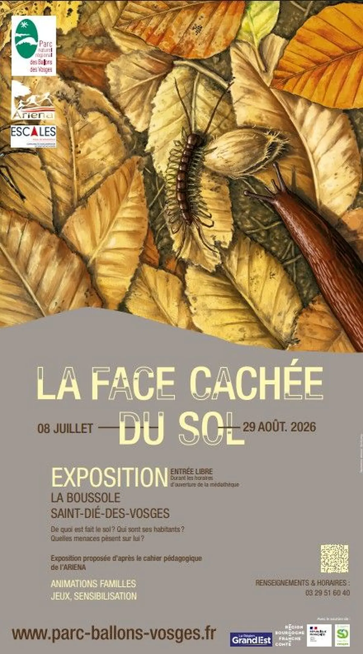 La face cachée du sol