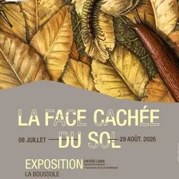 La face cachée du sol