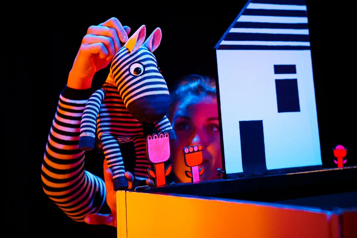 Festival Compli'cité - Zèbres