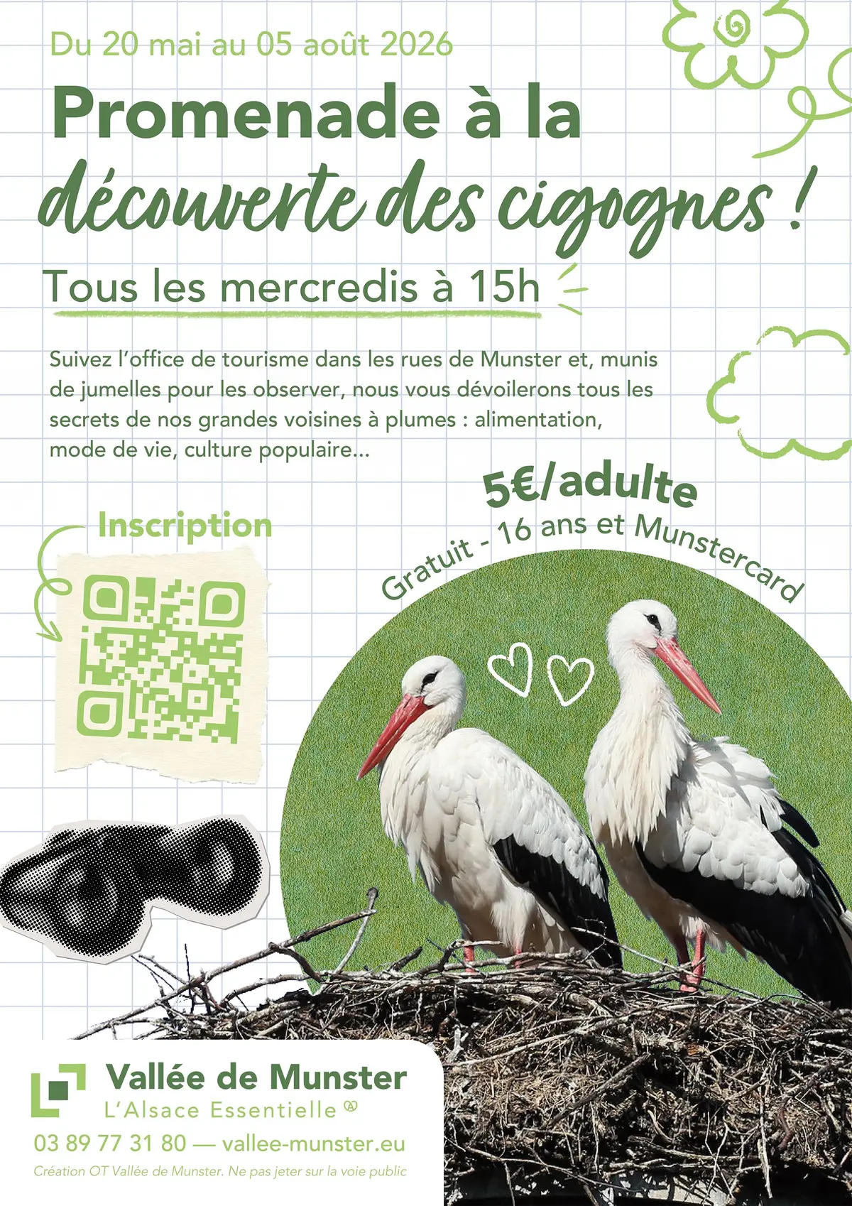 Promenade à la découverte des cigognes