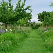 Stage – Des prunes et des mirabelles