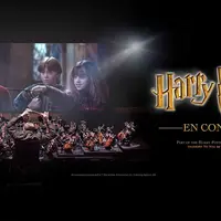 Harry Potter à l’école des sorciers en concert &copy; DR