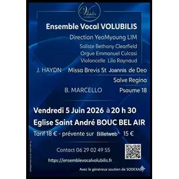 Un concert au XVIIIe siècle
