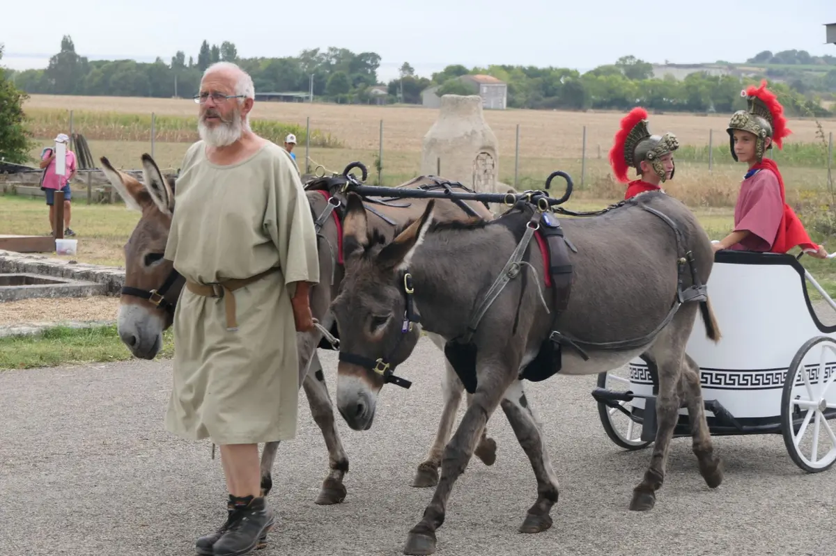 Balade à dos d’âne et en char