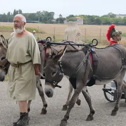 Balade à dos d’âne et en char