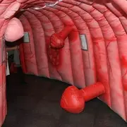 Mars Bleu : Côlon gonflable géant, Le GHICL sensibilise au cancer colorectal