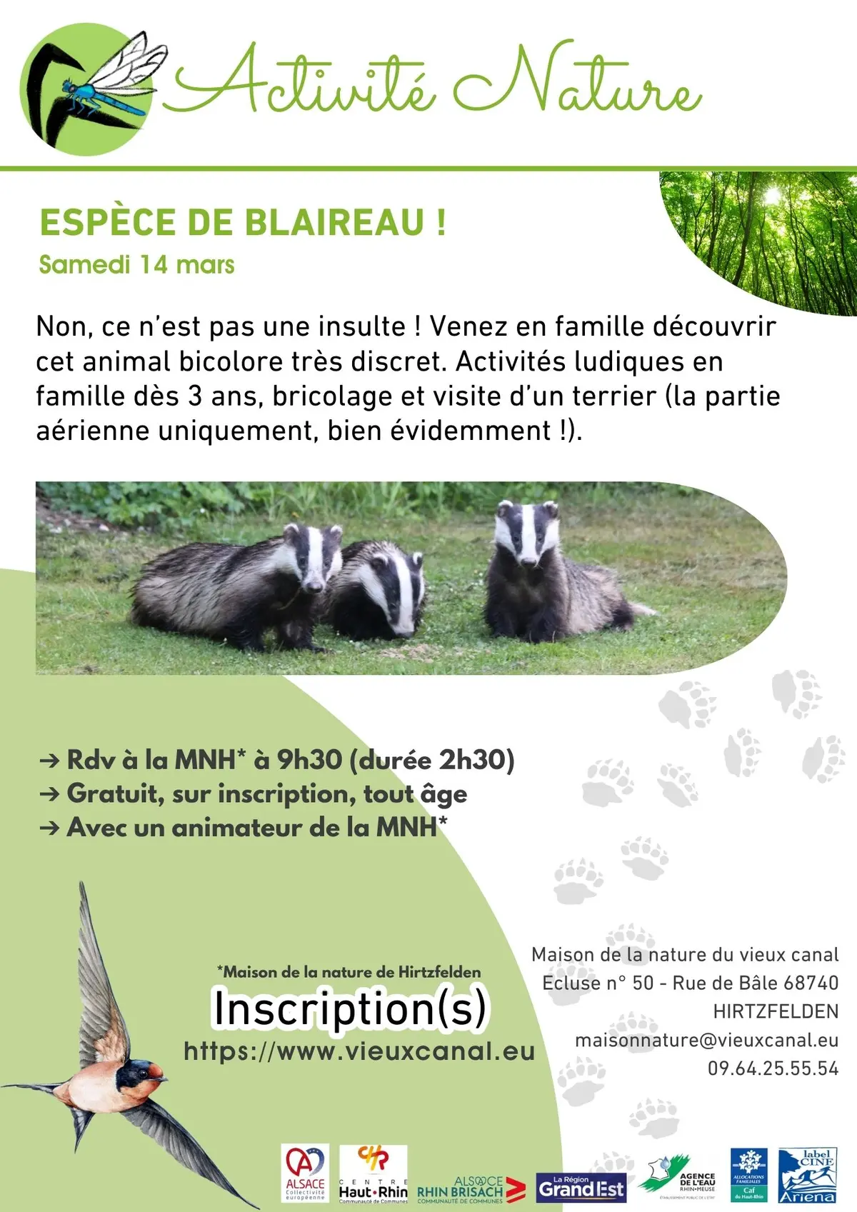 Espèce de blaireau !