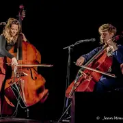 Cabaret du marché - Drache