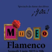 Museo Flamenco - Spectacle des élèves