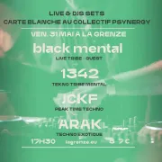 Carte blanche au Collectif Psynergy : Black Mental + 1342 + JCKF + ARAK x Grenze