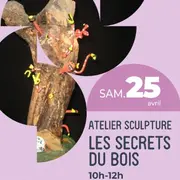 Atelier sculpture Les secrets du bois