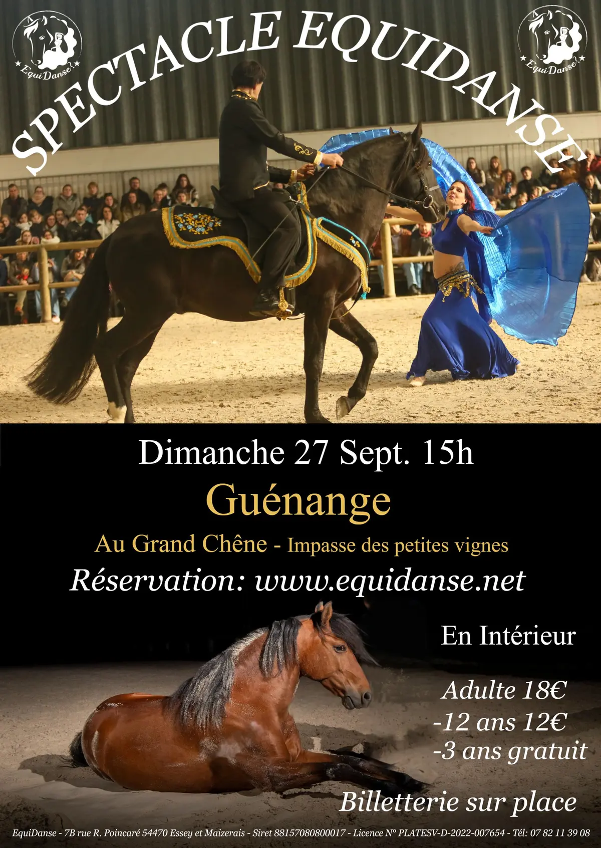 Spectacle Equestre EquiDanse 