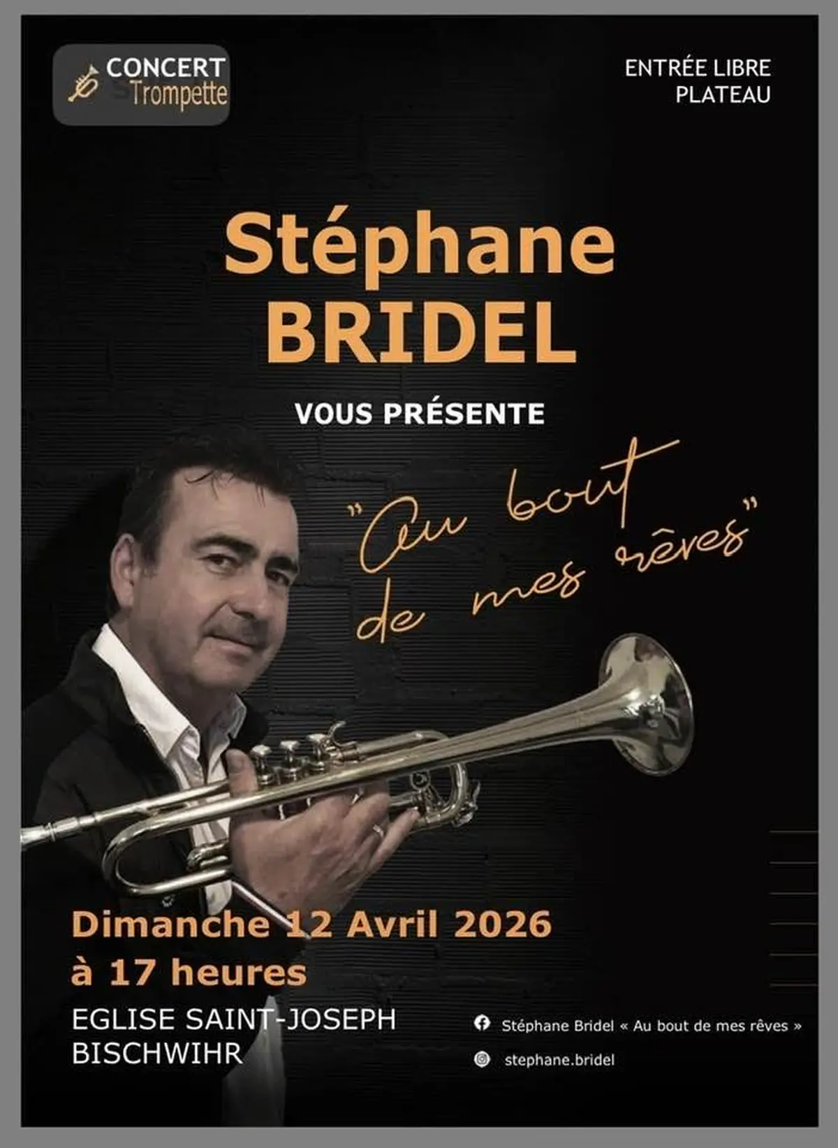 Stéphane Bridel en concert 