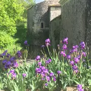 Fête du Printemps et de la Nature au Château de la Garenne à Cersay