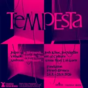 Vernissage - Tempesta