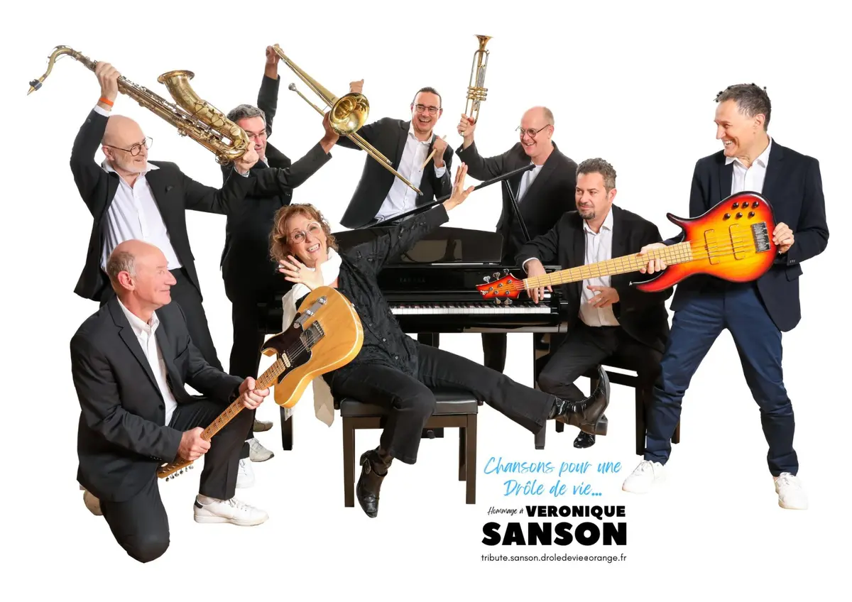 Chansons pour une drôle de vie