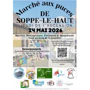 Marché aux puces de l'Ascension de SOPPE LE HAUT - 37e édition