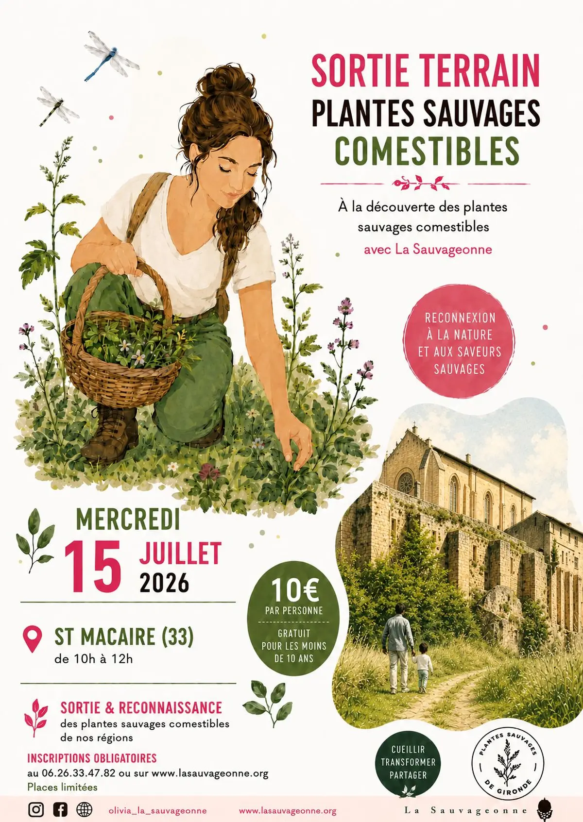 Sortie plantes sauvages comestibles à St Macaire