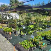 Marché de Printemps 