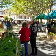 Marché aux Plantes & Saveurs de Rivières