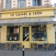 Le Camel à Léon expose David Sohyer