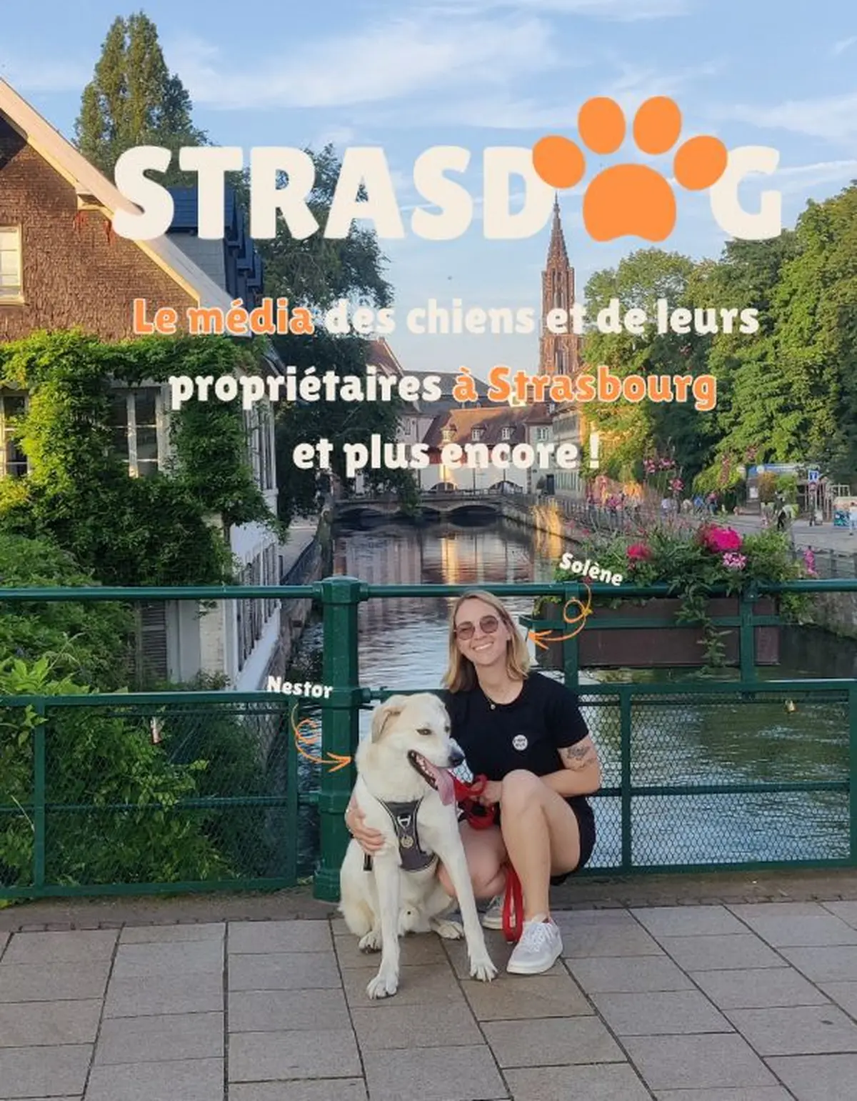 Atelier secours canin par Strasdog 