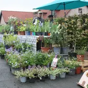Bourse aux Plantes de Saint-Riquier
