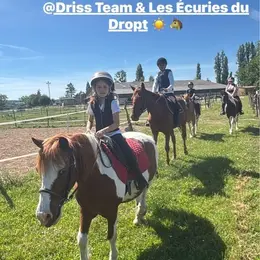Stage équitation d'été (poney ou cheval)