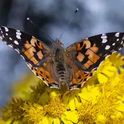 Photos au fil des mois