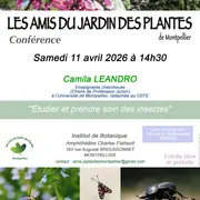 Conférence « Étudier et prendre soin des insectes »