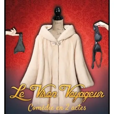 Le Vison voyageur par la Cie Mosaique de Riedisheim