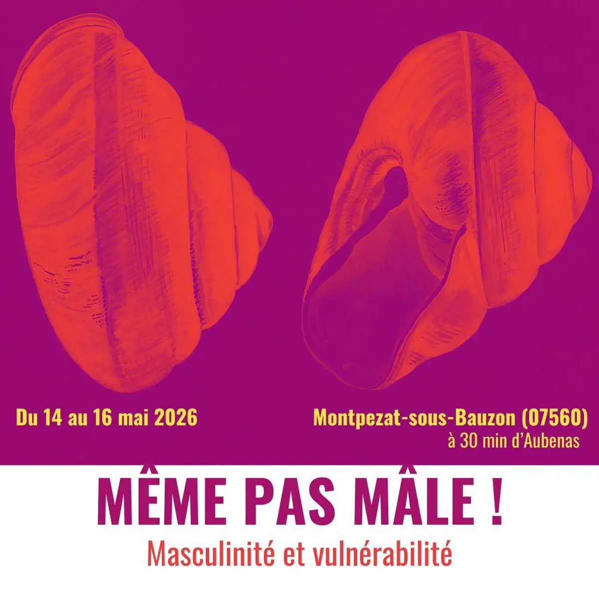 Même pas Mâle !