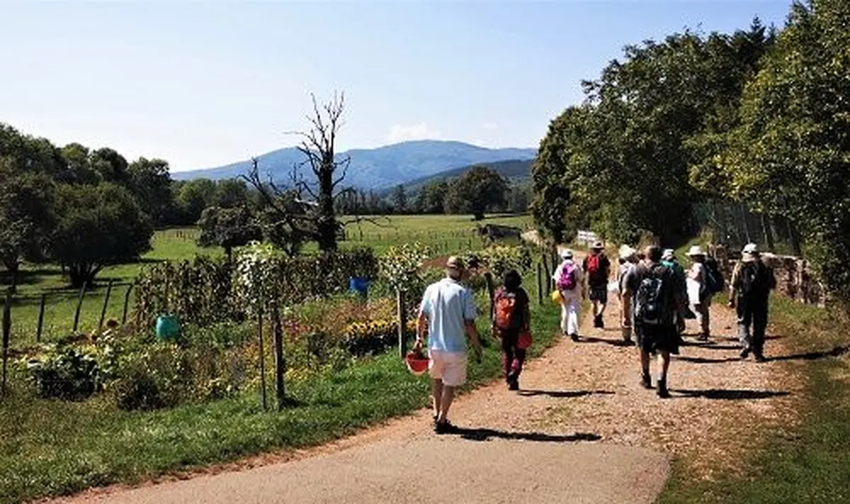 Le sentier géologique de Sentheim, une balade à remonter le temps