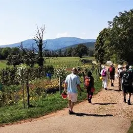 Le sentier géologique de Sentheim, une balade à remonter le temps