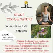 Stage de Yoga & Nature