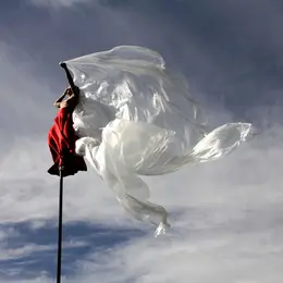 RoZéo de la compagnie Gratte ciel 