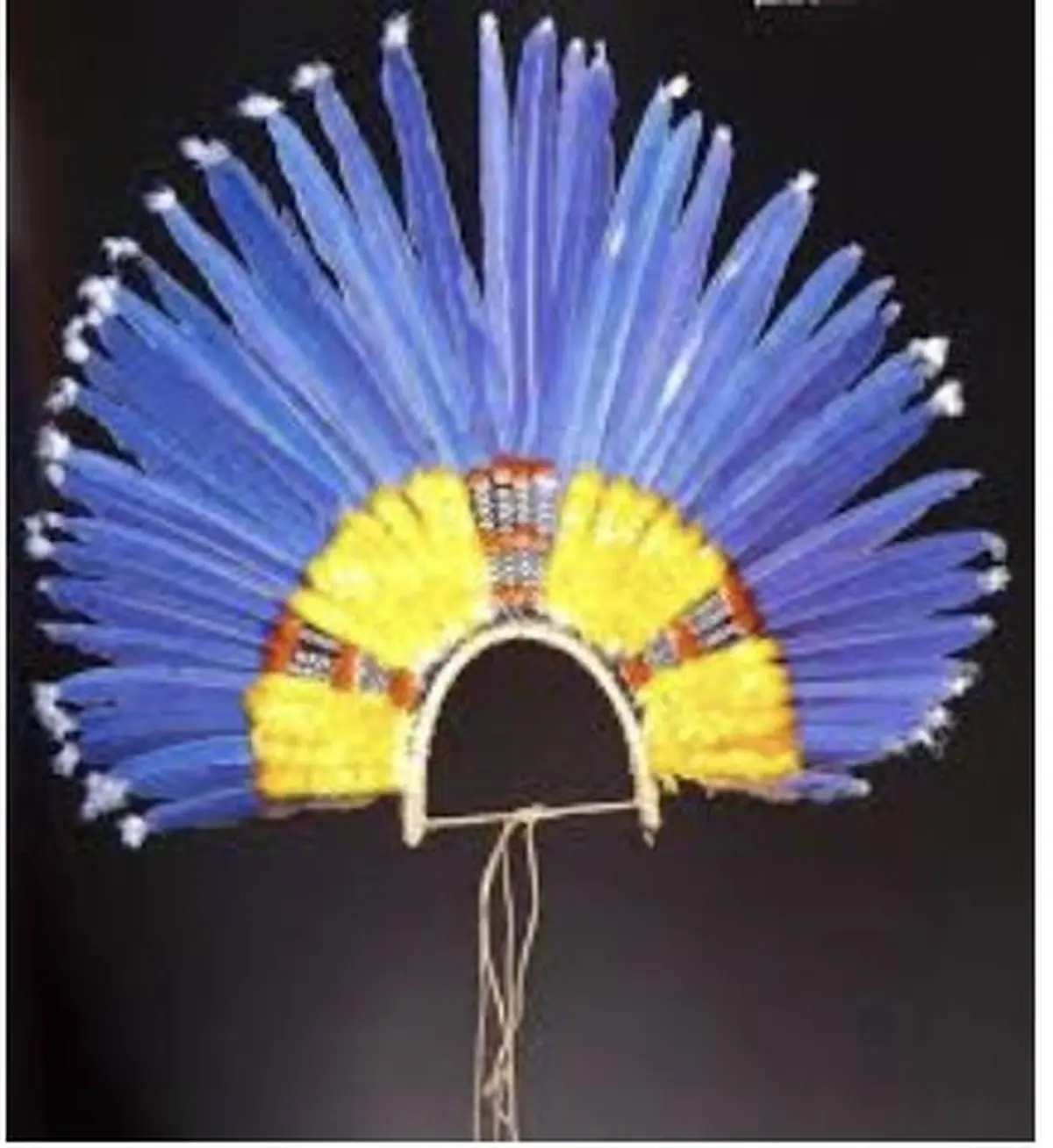 Exposition Amazônia. Créations et futurs autochtones »