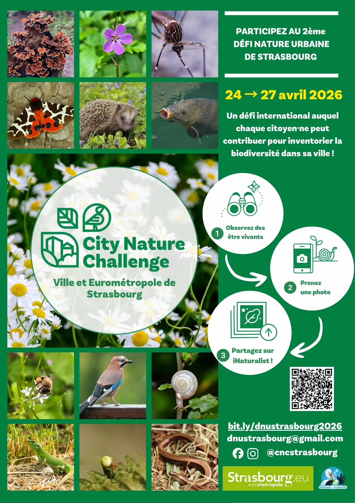 City Nature Challenge / Défi Nature Urbaine à Strasbourg