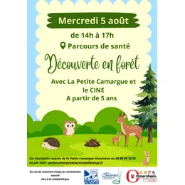 Mediatheque sur l'herbe - Découvertes en forêt