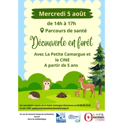 Mediatheque sur l'herbe - Découvertes en forêt