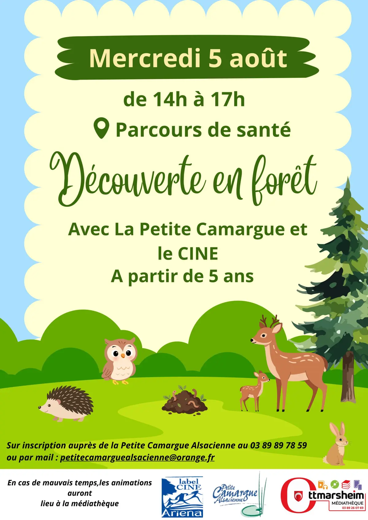 Mediatheque sur l'herbe - Découvertes en forêt