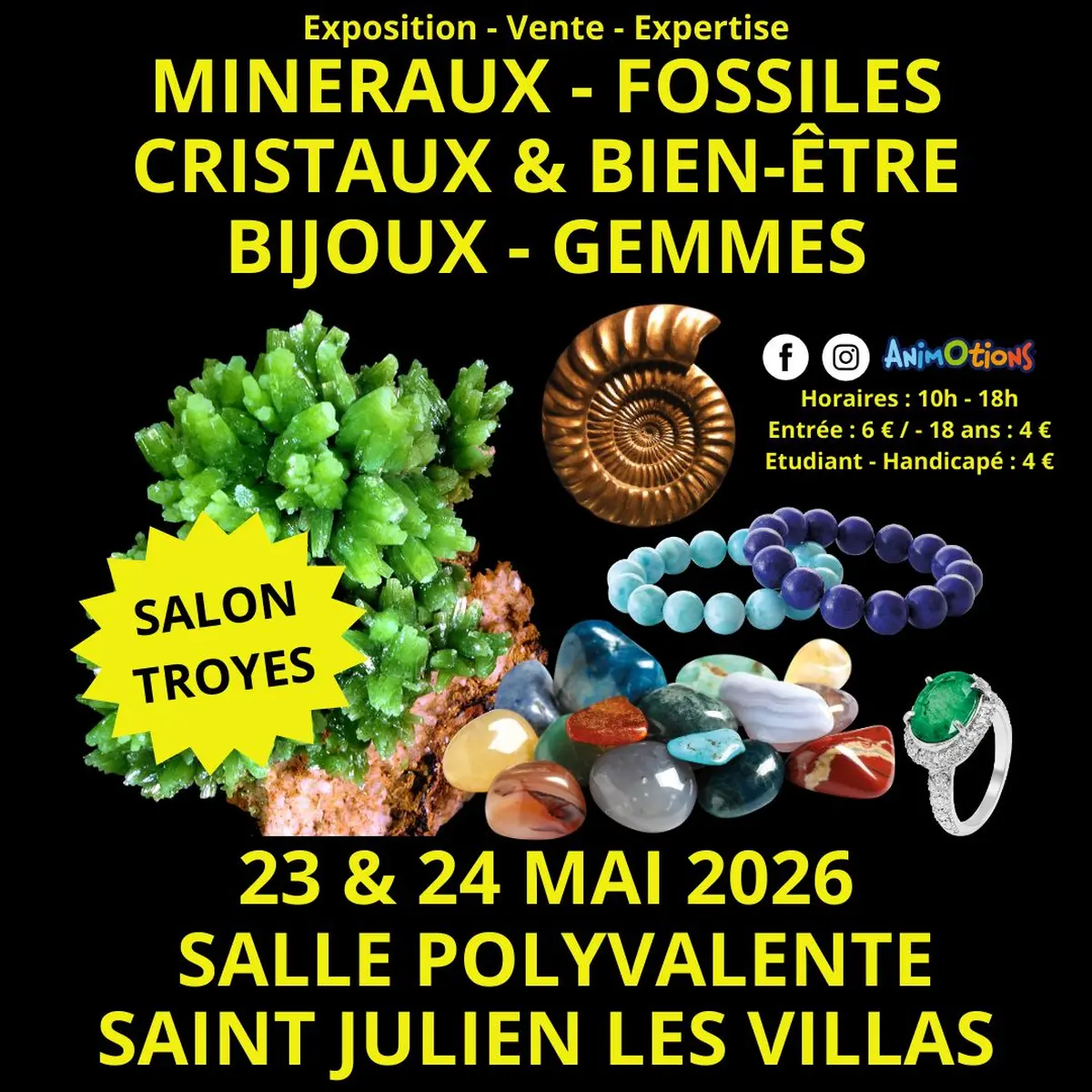 2ème Salon Minéraux Fossiles Cristaux & Bien-Être Bijoux et Gemmes de Troyes