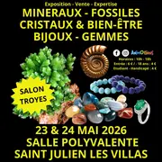 2ème Salon Minéraux Fossiles Cristaux & Bien-Être Bijoux et Gemmes de Troyes