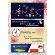 Concert du nouvel an