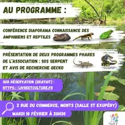Conférence :  A la découverte des amphibiens et reptiles