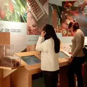 Les Secrets du Chocolat par Schaal