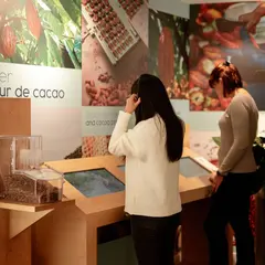 Les Secrets du Chocolat par Schaal