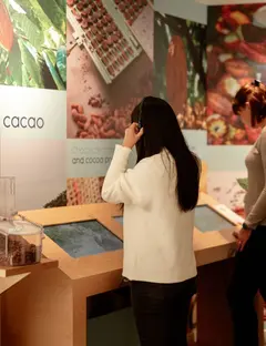 Les Secrets du Chocolat par Schaal